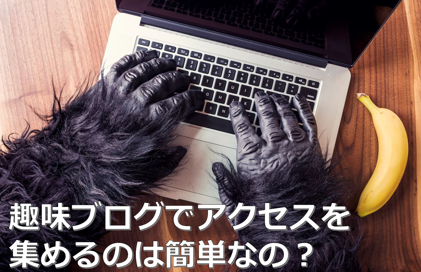 blog